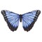 Hearthsong Kids Dress Up Butterfly Wings - Blue Morpho